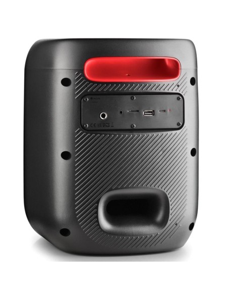 ALTAVOZ BT NGS WILD SWAG GO    80W PN: WILDSWAGGO EAN: 8435430625974