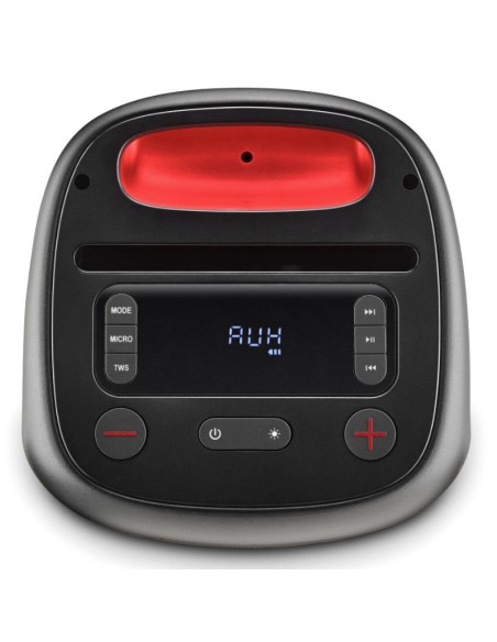 ALTAVOZ BT NGS WILD SWAG GO    80W PN: WILDSWAGGO EAN: 8435430625974